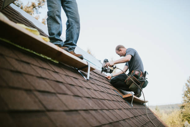 Best Roof Gutter Cleaning  in Ramsey, NJ